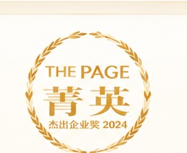 The Page Elite award logo